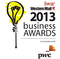 2013 Business Awards